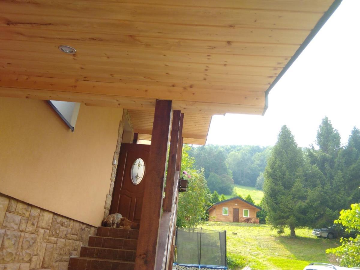 Noclegi Pod Lasem Solina 20 Bagian luar foto