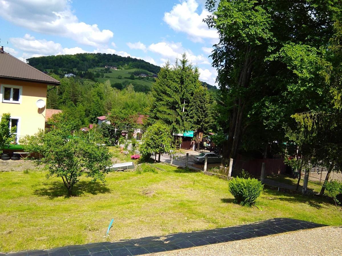 Noclegi Pod Lasem Solina 20 Bagian luar foto